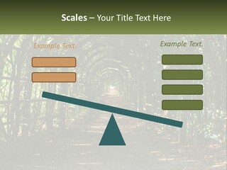 Nature Person Shade PowerPoint Template