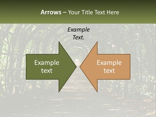 Nature Person Shade PowerPoint Template