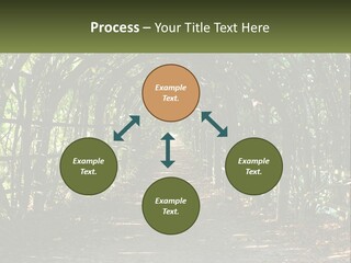 Nature Person Shade PowerPoint Template