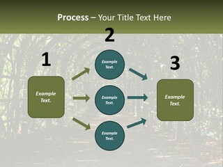 Nature Person Shade PowerPoint Template
