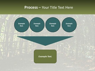 Nature Person Shade PowerPoint Template