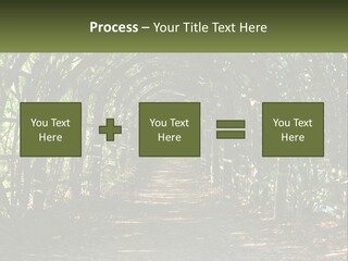 Nature Person Shade PowerPoint Template