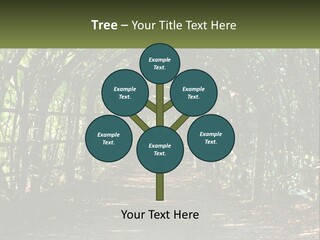 Nature Person Shade PowerPoint Template