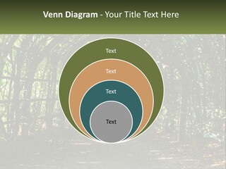 Nature Person Shade PowerPoint Template