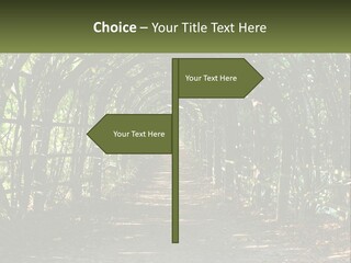 Nature Person Shade PowerPoint Template