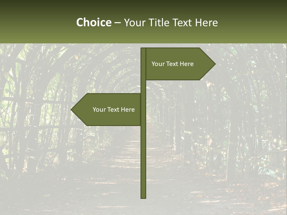 Nature Person Shade PowerPoint Template