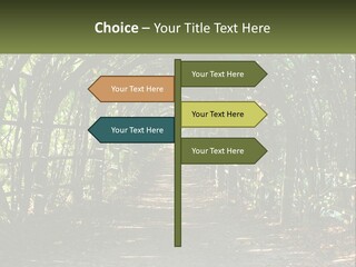 Nature Person Shade PowerPoint Template