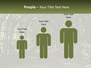 Nature Person Shade PowerPoint Template