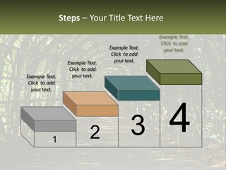 Nature Person Shade PowerPoint Template