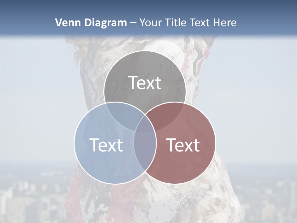 Expensive Beautiful White PowerPoint Template