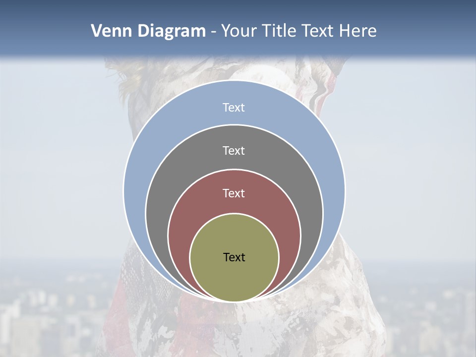 Expensive Beautiful White PowerPoint Template