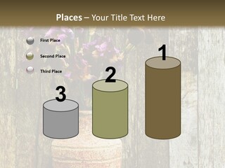 Stem Still Life Nature PowerPoint Template