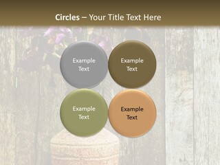 Stem Still Life Nature PowerPoint Template