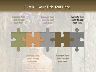 Stem Still Life Nature PowerPoint Template