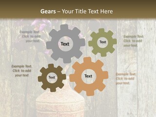 Stem Still Life Nature PowerPoint Template