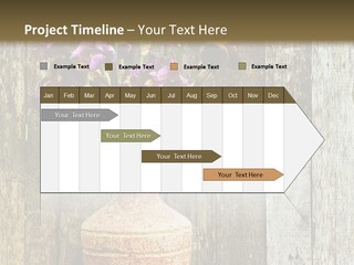 Stem Still Life Nature PowerPoint Template