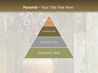 Stem Still Life Nature PowerPoint Template