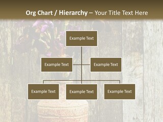 Stem Still Life Nature PowerPoint Template