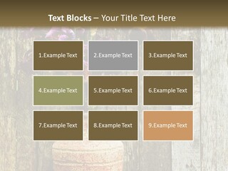 Stem Still Life Nature PowerPoint Template