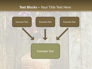 Stem Still Life Nature PowerPoint Template