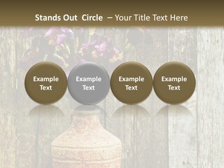 Stem Still Life Nature PowerPoint Template