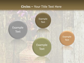 Stem Still Life Nature PowerPoint Template