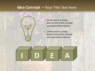 Stem Still Life Nature PowerPoint Template