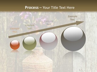 Stem Still Life Nature PowerPoint Template