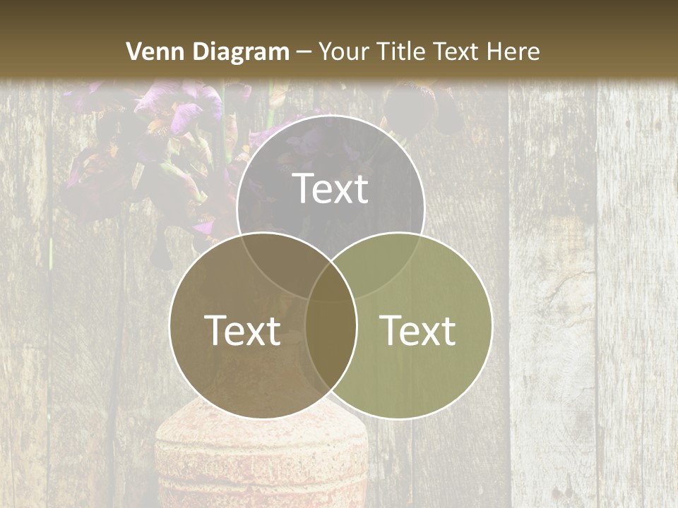 Stem Still Life Nature PowerPoint Template