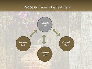Stem Still Life Nature PowerPoint Template