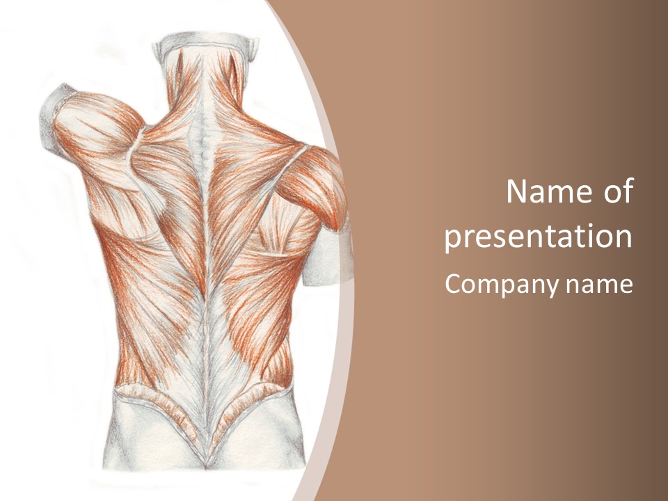 Illustration Anatomy Medical PowerPoint Template