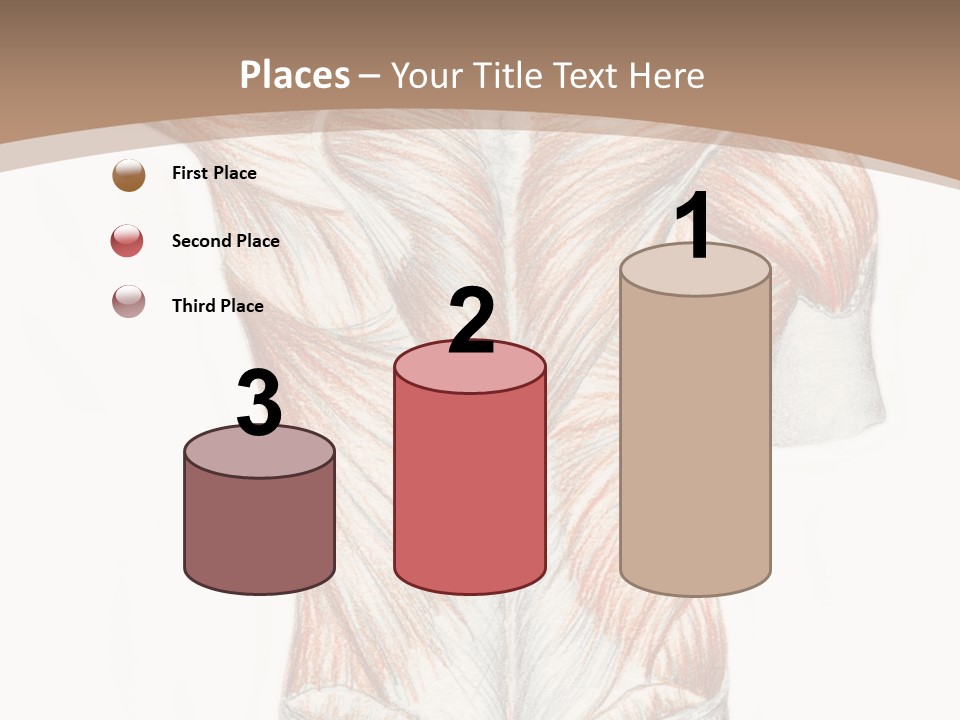 Illustration Anatomy Medical PowerPoint Template