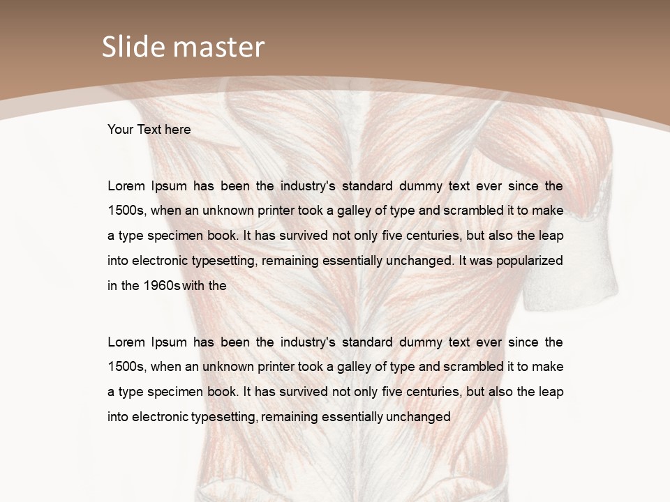 Illustration Anatomy Medical PowerPoint Template
