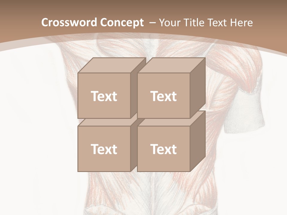 Illustration Anatomy Medical PowerPoint Template