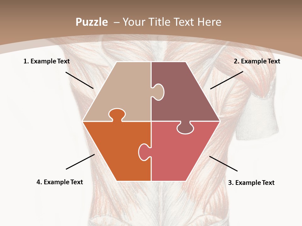 Illustration Anatomy Medical PowerPoint Template