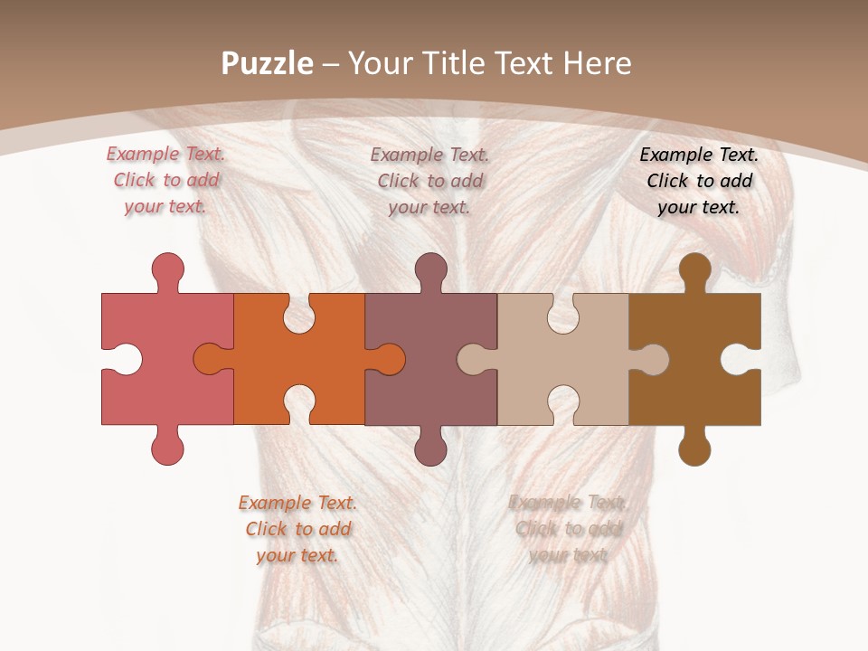 Illustration Anatomy Medical PowerPoint Template