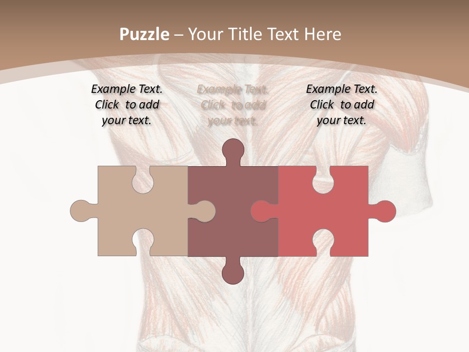 Illustration Anatomy Medical PowerPoint Template