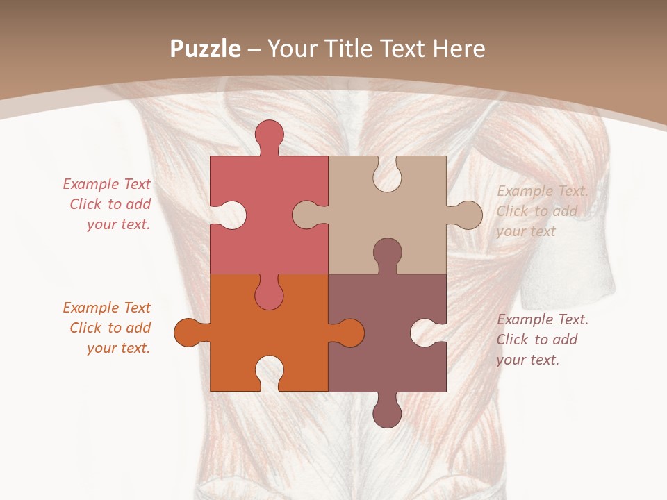 Illustration Anatomy Medical PowerPoint Template