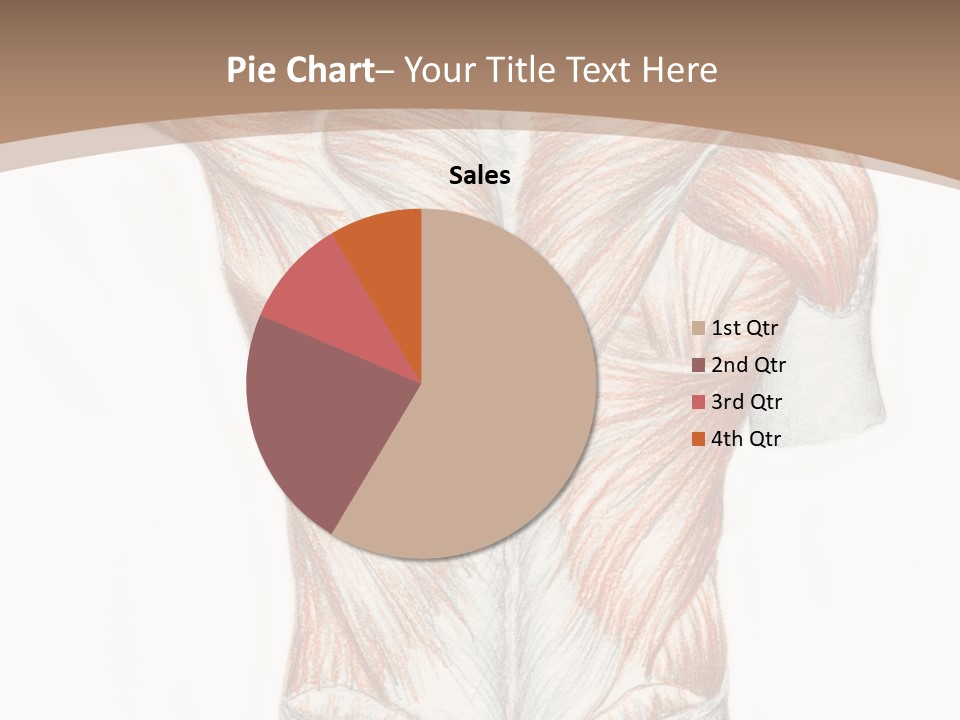 Illustration Anatomy Medical PowerPoint Template