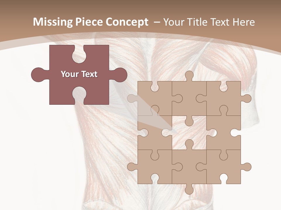 Illustration Anatomy Medical PowerPoint Template