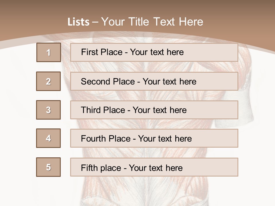 Illustration Anatomy Medical PowerPoint Template