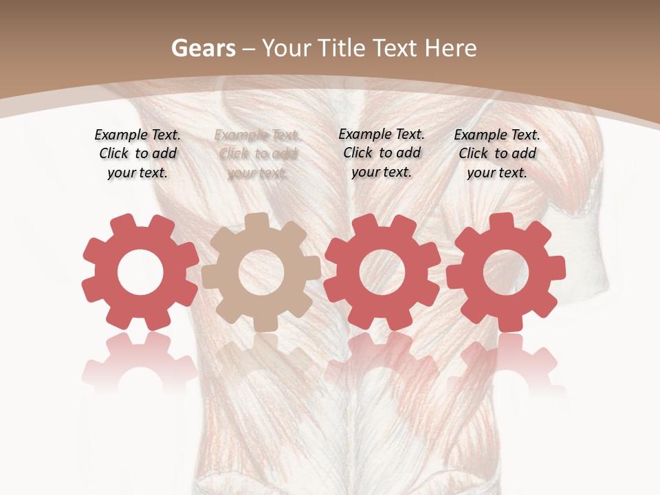 Illustration Anatomy Medical PowerPoint Template