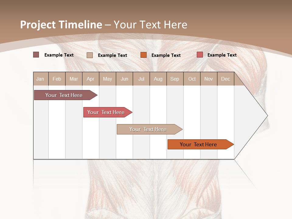 Illustration Anatomy Medical PowerPoint Template