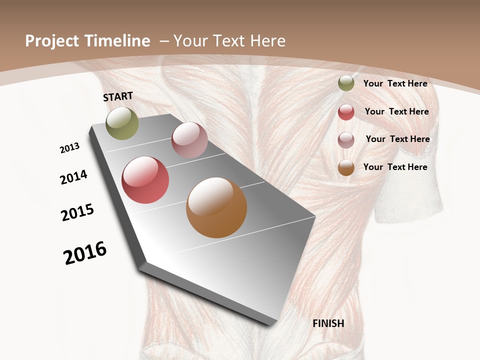Illustration Anatomy Medical PowerPoint Template
