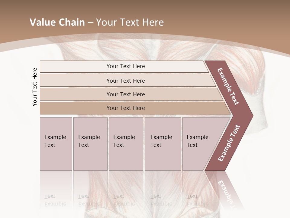 Illustration Anatomy Medical PowerPoint Template