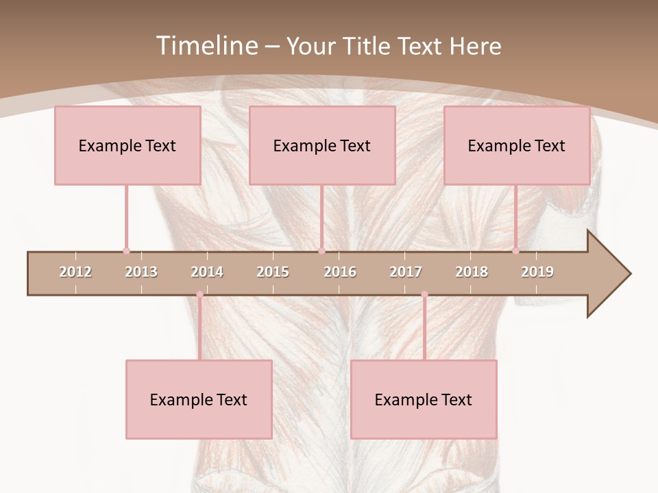 Illustration Anatomy Medical PowerPoint Template