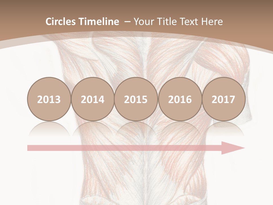 Illustration Anatomy Medical PowerPoint Template