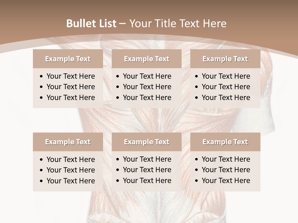Illustration Anatomy Medical PowerPoint Template