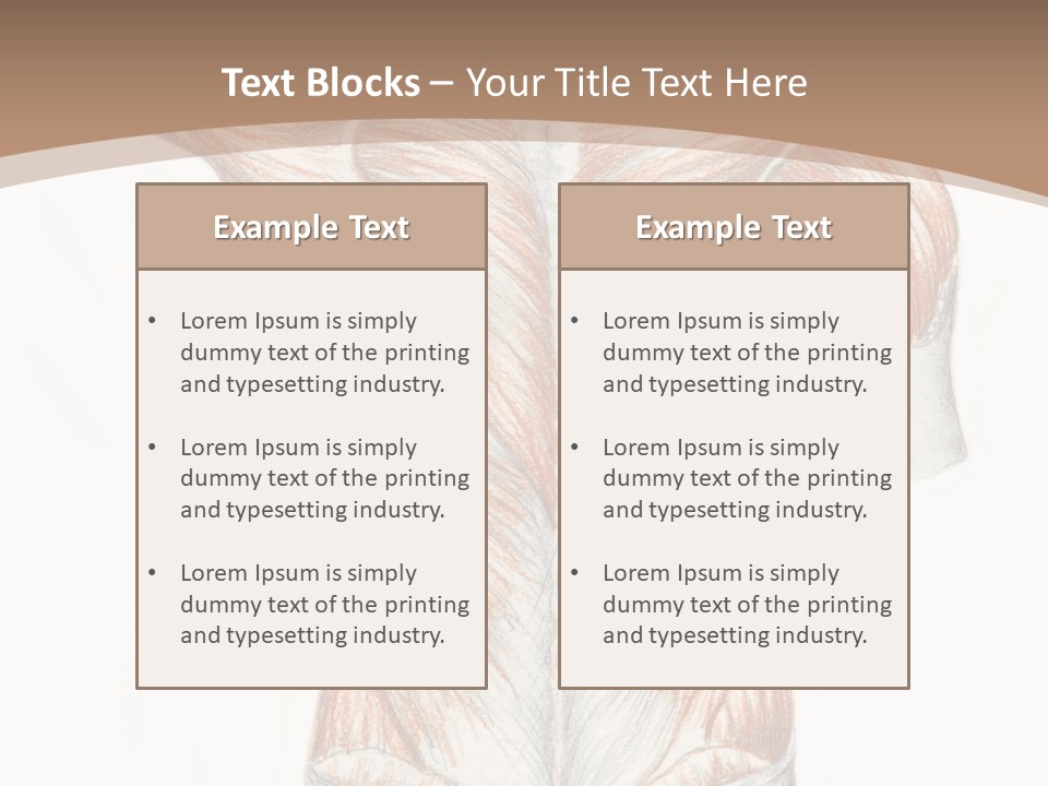 Illustration Anatomy Medical PowerPoint Template