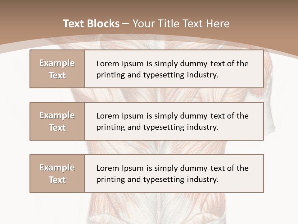 Illustration Anatomy Medical PowerPoint Template